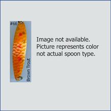 Load image into Gallery viewer, Chev Chase Trolling Spoon Size 1
