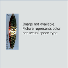 Load image into Gallery viewer, Chev Chase Trolling Spoon Size 1