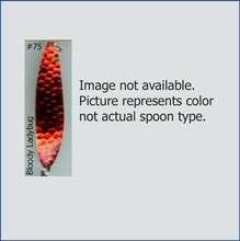 Load image into Gallery viewer, Chev Chase Trolling Spoon Size 1
