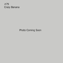 Load image into Gallery viewer, Mini BB Gun Trolling Spoon