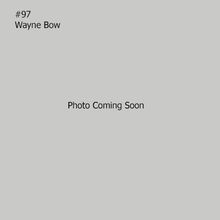 Load image into Gallery viewer, Mini BB Gun Trolling Spoon