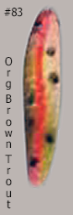 Load image into Gallery viewer, TG-83-Orange-Brown-Trout