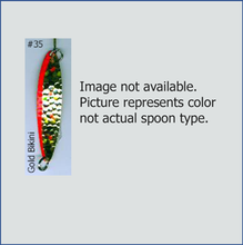 Load image into Gallery viewer, Chev Chase Trolling Spoon Size 1
