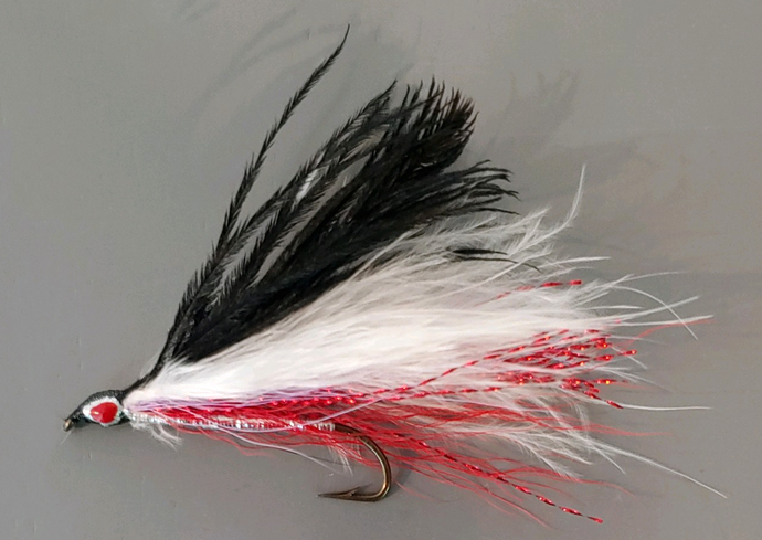 Single Bleeding Winnipesaukee Smelt Streamer Fly