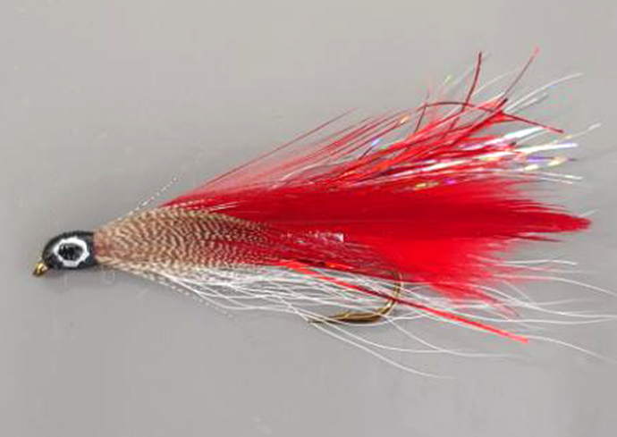 Single-Red-Ghost-Streamer-Fly
